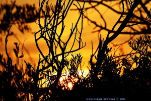 Sunset at Praia de Afife – Portugal