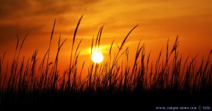 Sunset at Praia de Afife – Portugal