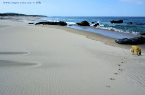 Nicol at Praia de Afife – Portugal