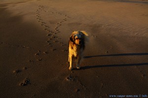 Sunset at Praia de Afife – Portugal