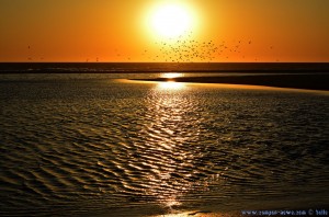 Sunset at Praia de Afife – Portugal