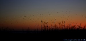 Sunset at Praia de Afife – Portugal