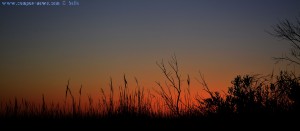 Sunset at Praia de Afife – Portugal