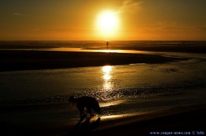 Sunset at Praia de Afife – Portugal