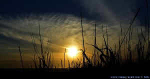 Sunset at Praia de Afife – Portugal