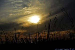 Sunset at Praia de Afife – Portugal