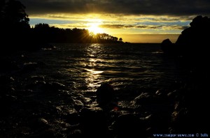 Blüten auf einem Felsen - Sunset at Playa de Mourisca – Spain