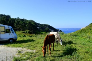 My View today - Praia de Ancoradouro – Spain