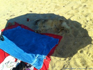 So viel zum Thema Schattenverteilung - Playa las Pipas – Spain