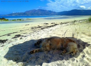 Lazy Nicol at Praia de Carnota – Spain