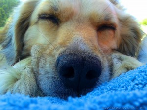 Lazy Nidol at Praia de Bares - Spain