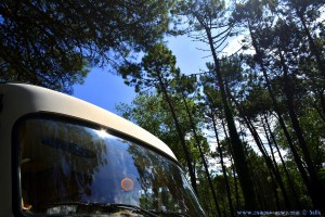 My View today – SUN at Lunch-Time - 39470 Piélagos - Cantabria – Spain