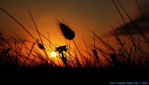 Sunset at Playa de Valdearenas – Spain