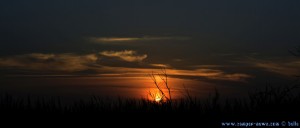 Sunset at Praia de Afife – Portugal