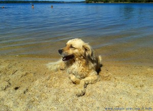 Nicol kühlt den Popo - Playa de los Molinos - Embalse de Valparaíso - Spain