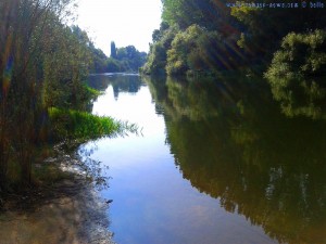My View today - Río Tormes – Spain