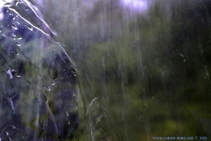 Very strong Rain - on the Road - Spain