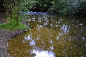 Río Jamara - Talamanca de Jarama – Spain