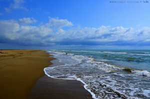 Platja dels Eucaliptus - Els Muntells – Spain