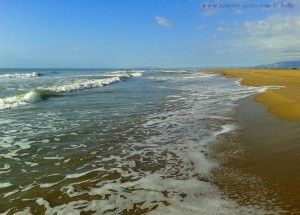 Platja dels Eucaliptus - Els Muntells - Spain