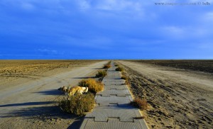 Der lange Weg zum Puderzucker-Strand - Nicol at Platja de l'Eucaliptus – Spain