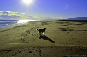 Nicol – ganz dünn mit dem Wind – am Platja de l'Eucaliptus – Spain