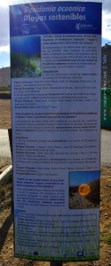 Algen werden von November bis März nicht entfernt - Playas de Santa Pola – Spain