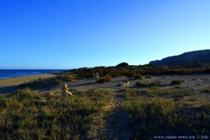 Nicol und die Steintürme am Playa de Los Arenales del Sol – Spain