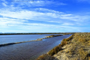 Salinas de San Pedro del Pinatar – Spain