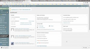 Wordpress-DashBoard