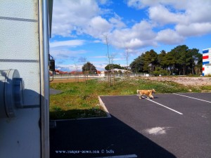 Lunch in Elne – France