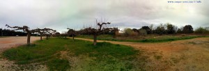 Grauer Himmel in Saint-Gilles – France