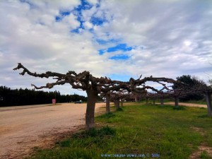 Ein bisschen blauer Himmel - Saint-Gilles – France