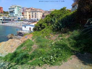 Das Bisschen Grün für Nicol in Genova – Italy