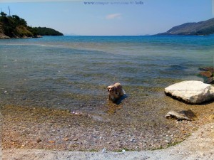 Nicol braucht eine Abkühlung - Platariá – Greece