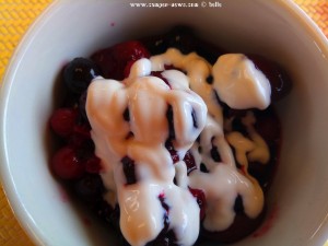 Beeren-Mix-Dessert in Agios Sotiras - Thermaikos Kolpos – Greece