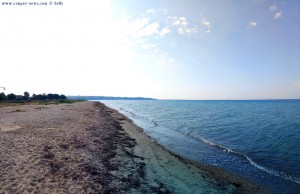 My View today - Ikismos Lefkes – Greece