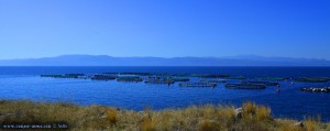 Fischaufzucht-Becken - on the Road – Greece