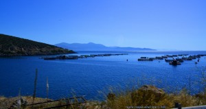 Fischaufzucht-Becken - on the Road – Greece