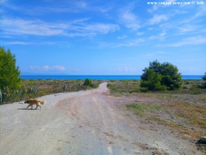 Bei Agkali – Greece