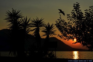 Sunset in Akti – Greece