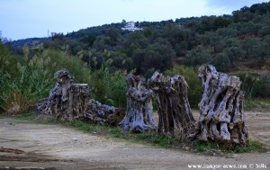 Charakterristisches Merkmal am Metamorfosi-Beach – Greece