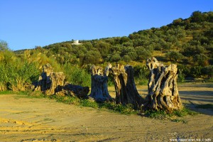 Wahrzeichen vom Metamorfosi Beach – Greece