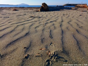 Vivari Beach – Greece II