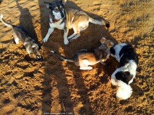 Familie „Blue Eye“ - Epitalio Paralia – Greece