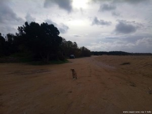 Nicol am Lagkouvardos Beach – Greece