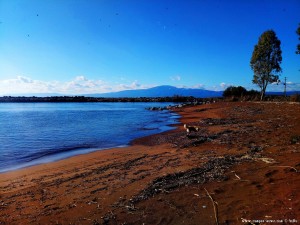 Nicol liest ihre eMails am Pamisos - River - Avramiou Beach – Greece