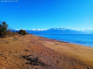 Nicol und die Möwen am Avramiou Beach – Greece