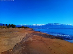 Nicol und die Möwen am Avramiou Beach – Greece