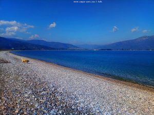 Kazarma Eucalyptus Beach - Greece